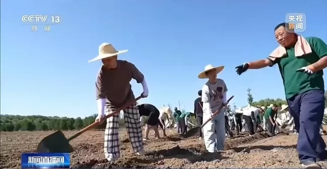一课难求！烹饪、汽修、这些堪称劳动课“顶流”