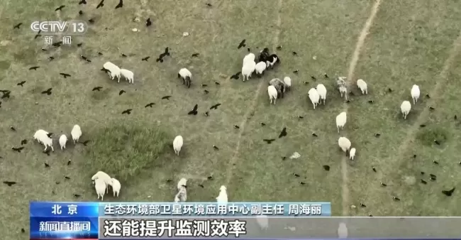 我国已建成五基空天地一体生态监测网络